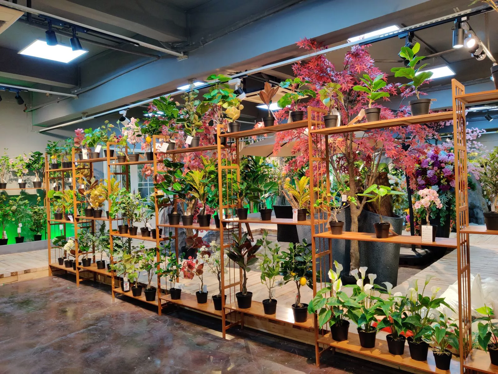 Photograph of Artificial Plants & Trees & Bonsai & Flowers -  up-close-shot (03)